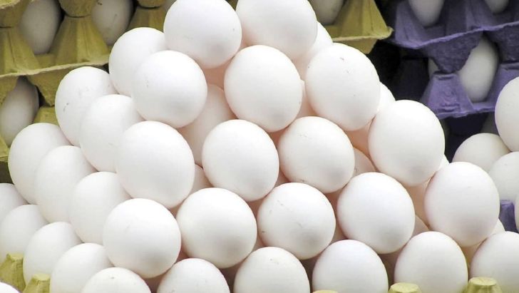 ۹.۶ درصد تخم مرغ کشور در آذربایجان شرقی تولید می‌شود